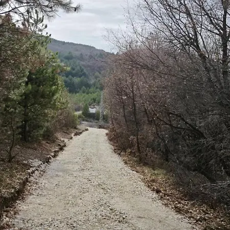 дивото